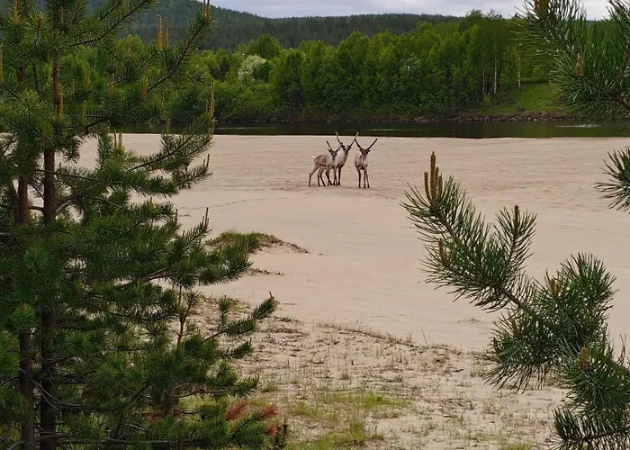 Domek alpejski Rivergold